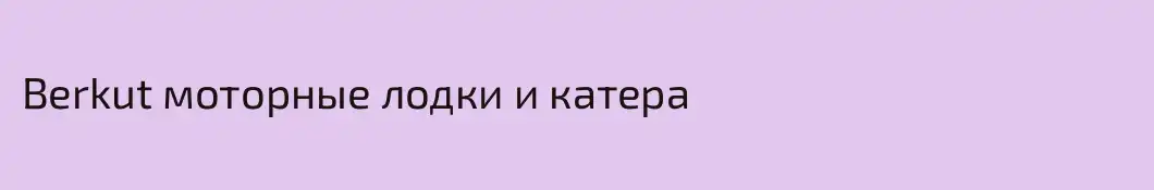 Berkut моторные лодки и катера
